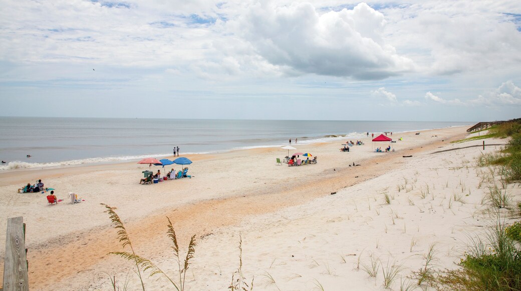 Parque Jungle Hut Road