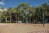 A playground with swings and a bench in a park with palm trees.