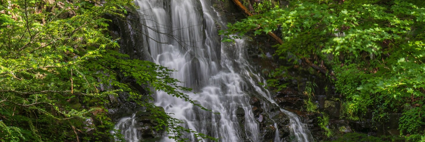 Roaring Brook Falls in the forest