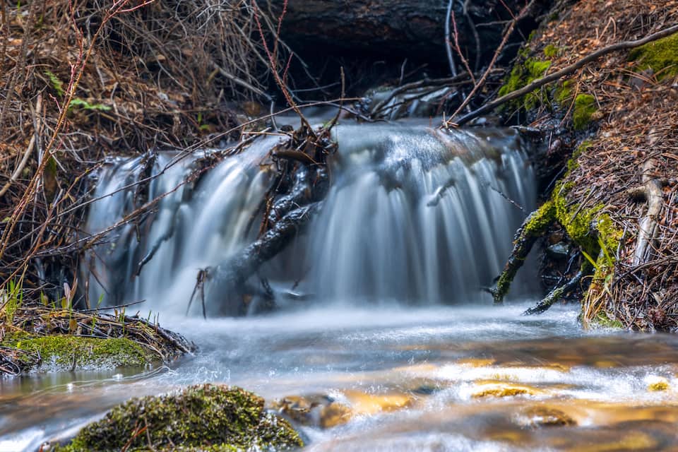 A waterfall in a forested area with moss-covered rocks and branches.