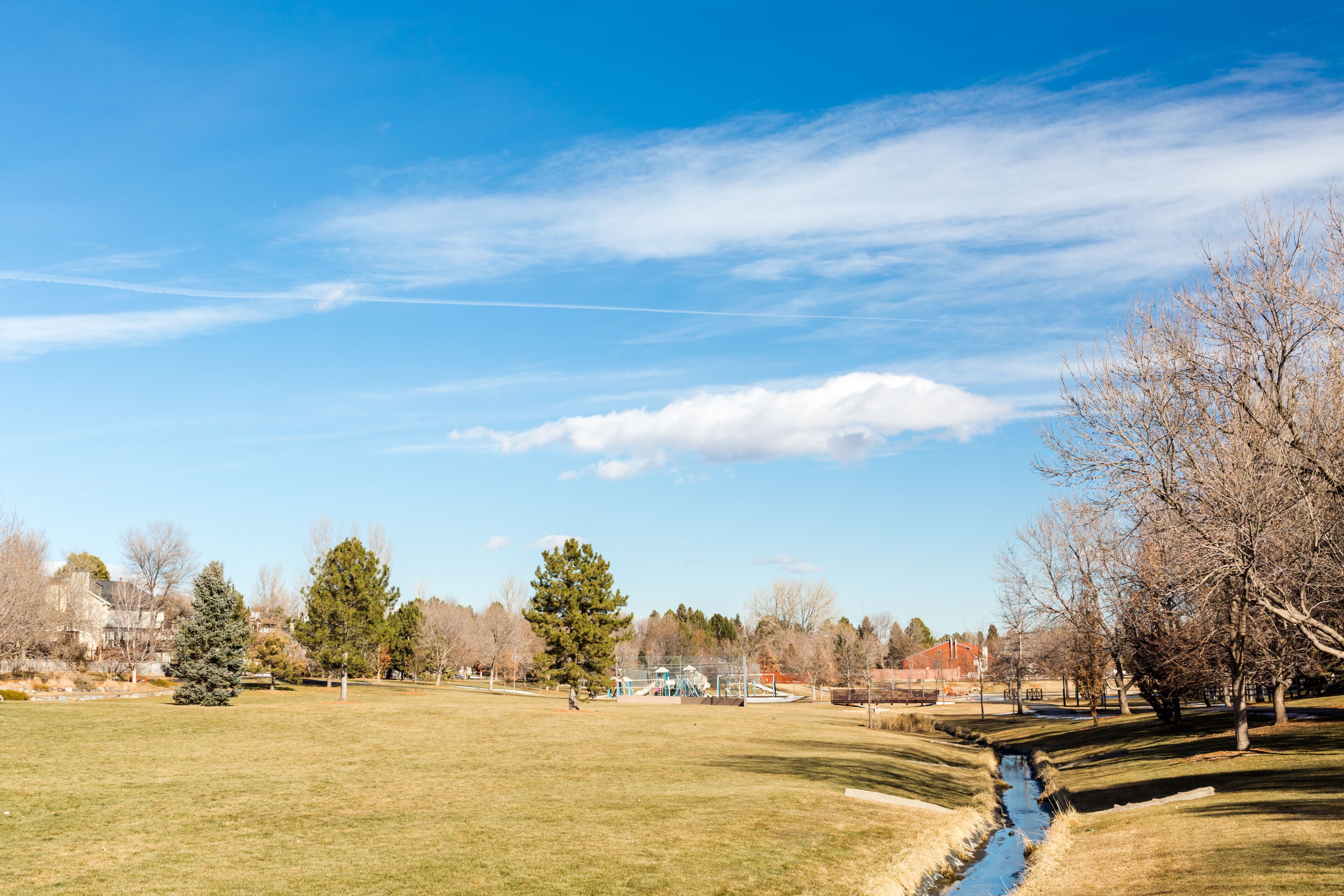 Suburban park