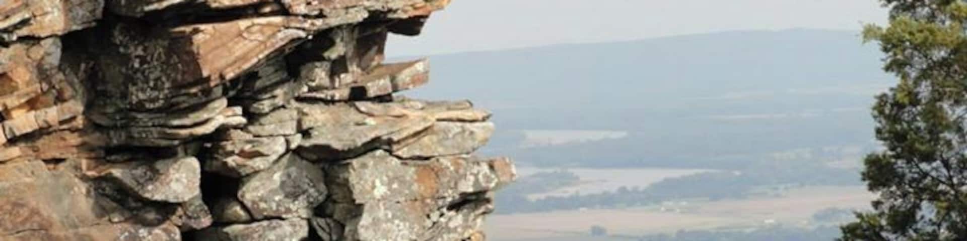 View from one of the highest points in the park.