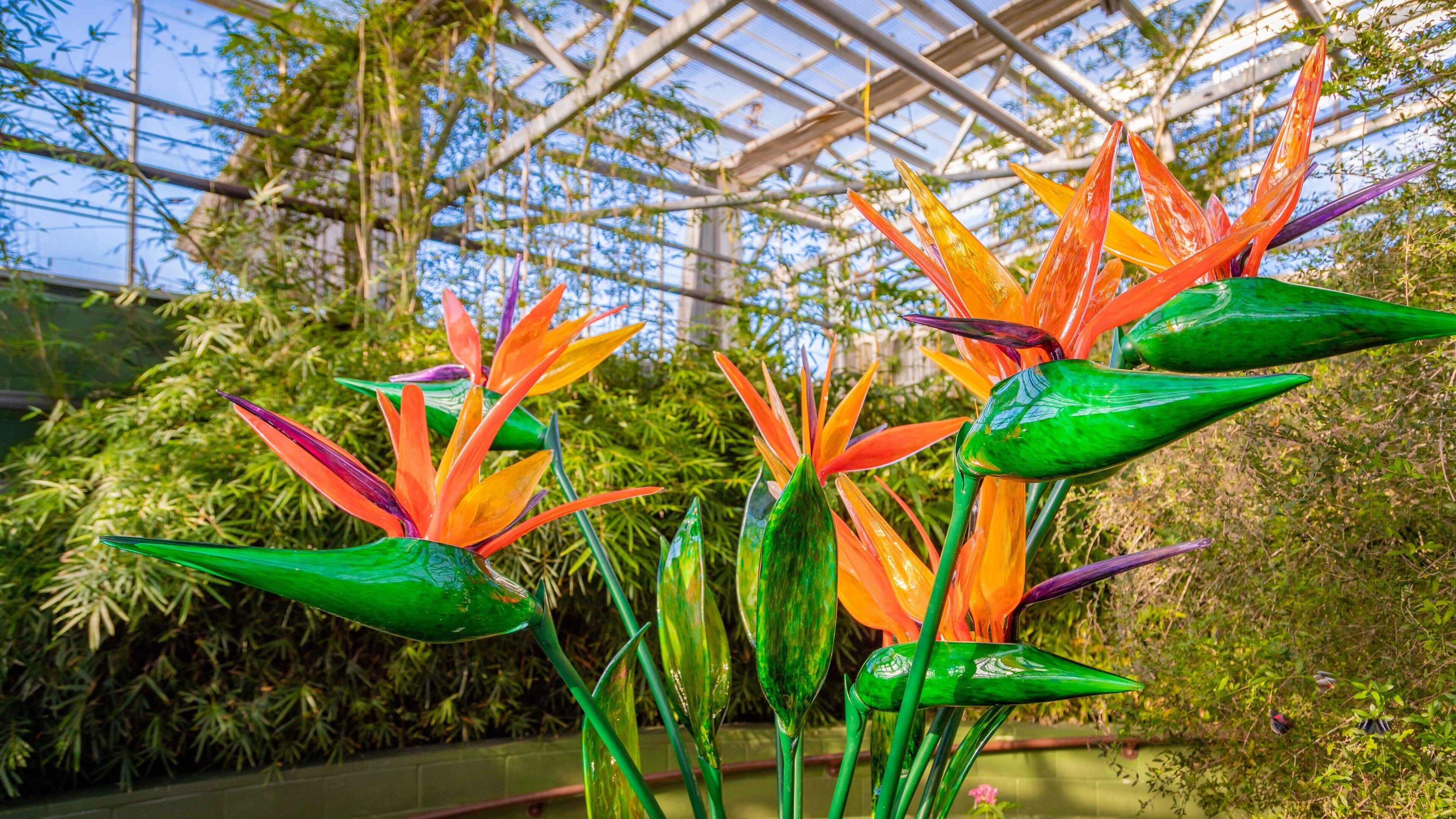 Butterfly Wonderland