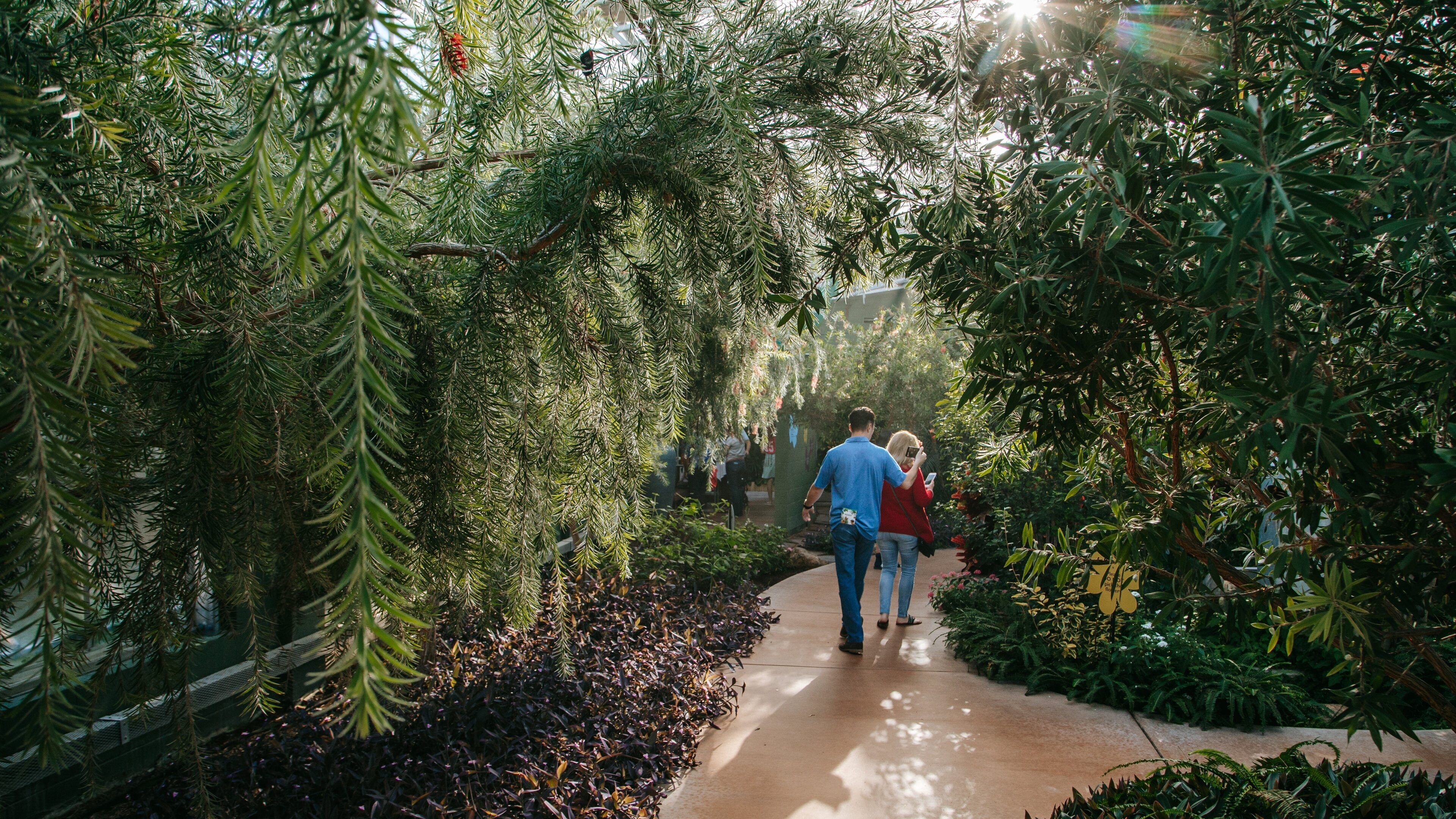 Butterfly Wonderland showing a park as well as a couple