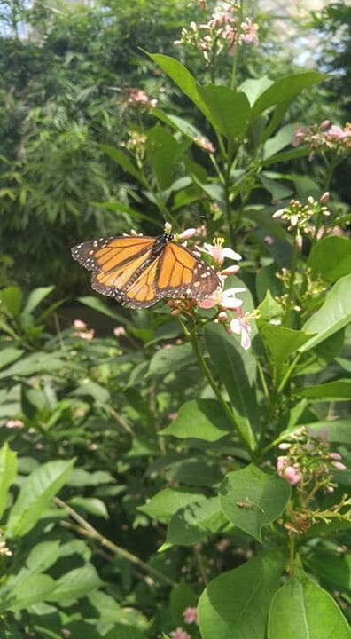 Very cool place to visit, made a day trip and see the dolphins and aquarium
#LifeAtExpedia