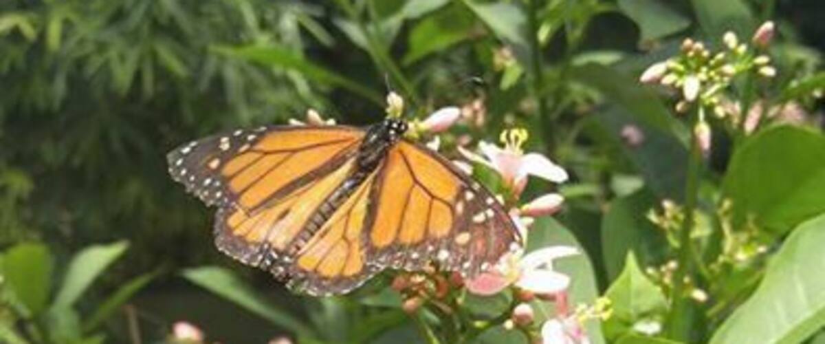 Very cool place to visit, made a day trip and see the dolphins and aquarium
#LifeAtExpedia