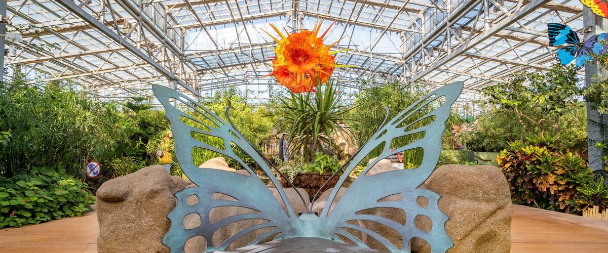 Butterfly Wonderland showing outdoor art, a park and interior views
