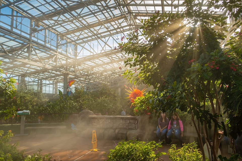A greenhouse with a glass roof, plants, and a warning sign.