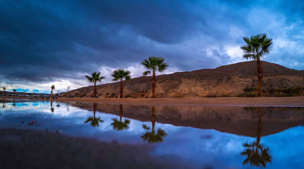 ์ผํ๋งจ ์ํฐ ์ปค๋ฎค๋ํฐ ๊ณต์