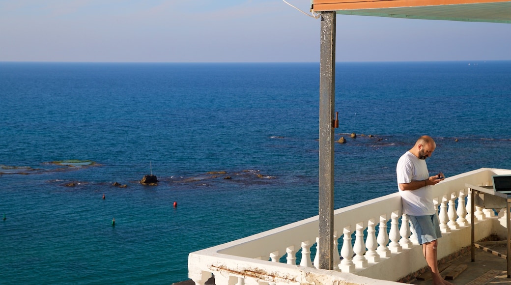 Andromeda Rock which includes views and general coastal views as well as an individual male