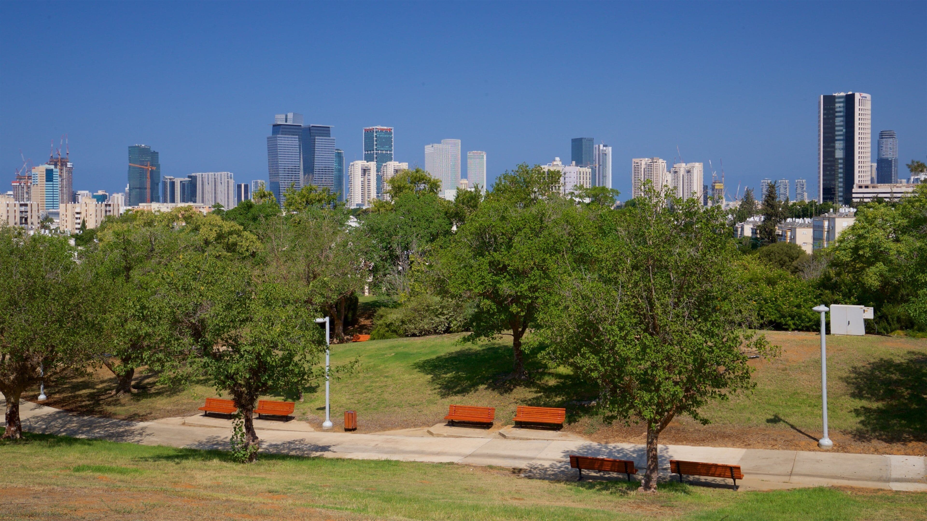 Edith Wolfson Park showing landscape views, a city and a park