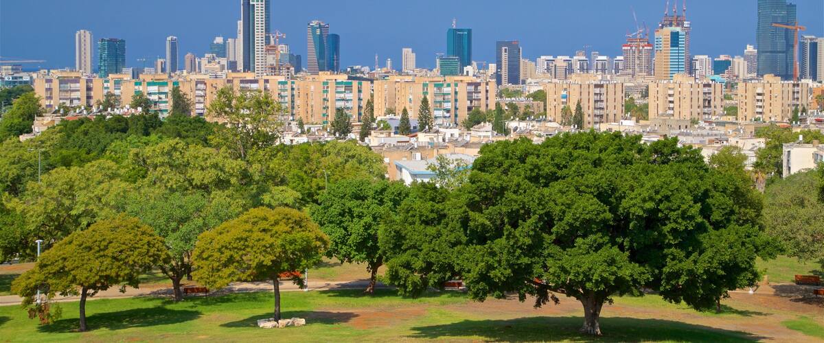 Edith Wolfsonin puisto featuring maisemat, pilvenpiirtäjä ja kaupunki