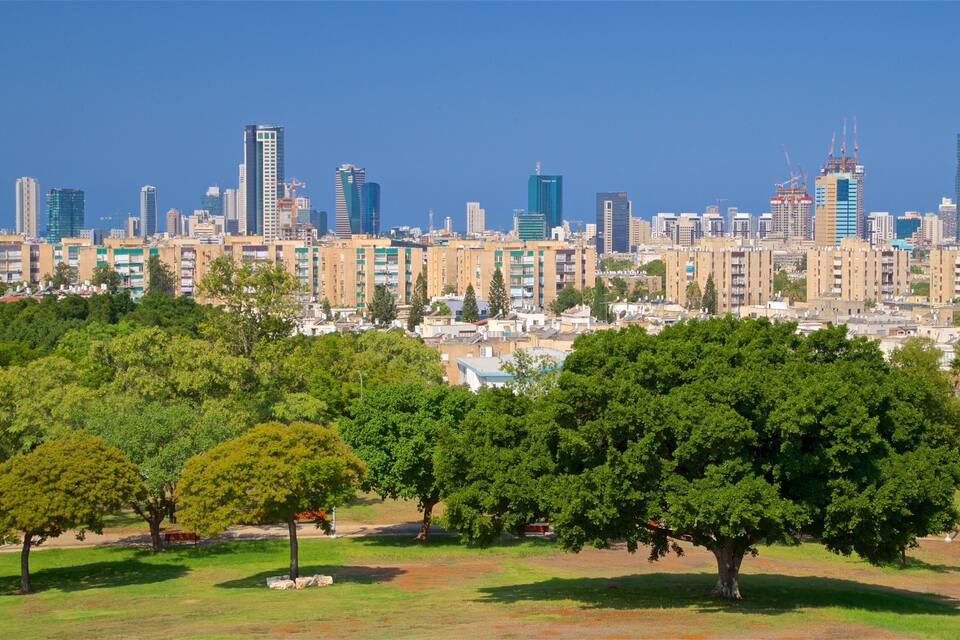 A city skyline with modern buildings and construction cranes, surrounded by green parks and trees.