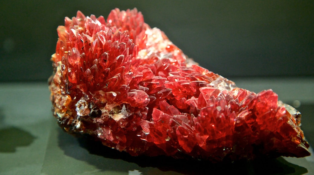 Museu de Diamantes Harry Oppenheimer