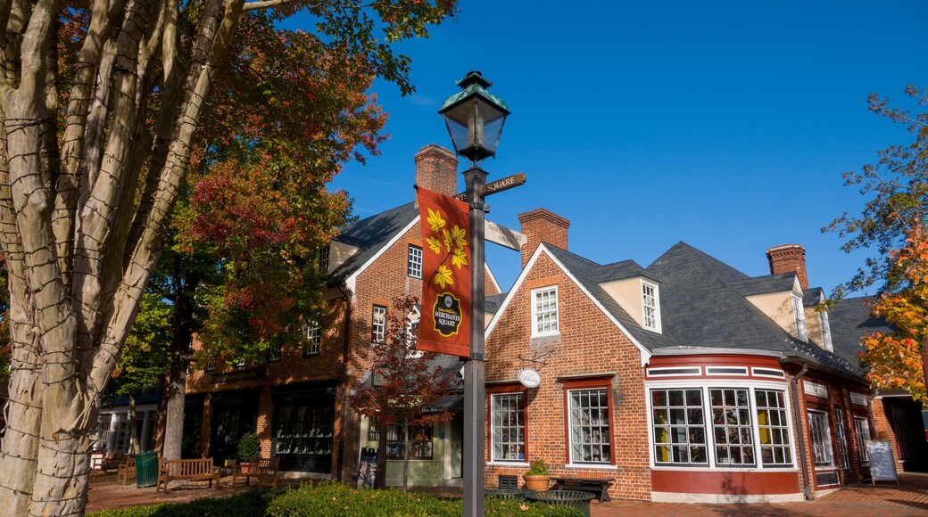 KN2BHG USA Virginia VA Colonial Williamsburg Merchants Square Duke of Gloucester Street Fall Autumn