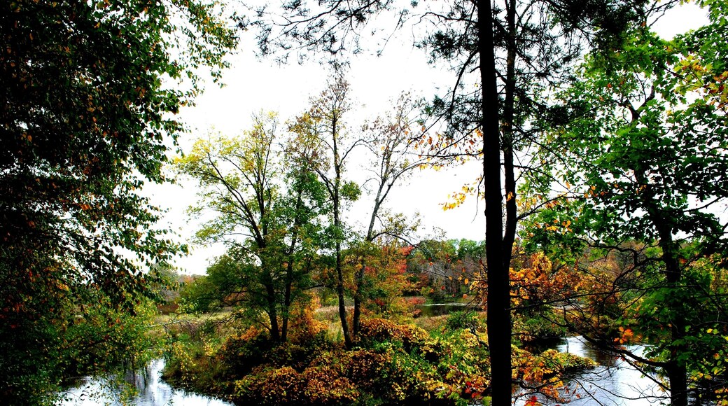 Gertrude M. Boyden Wildlife Refuge