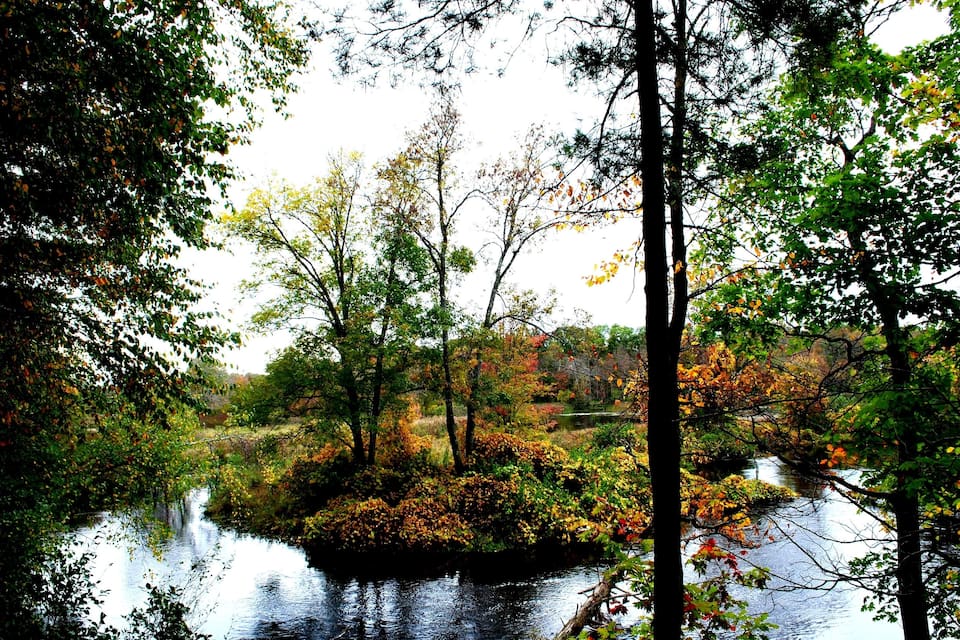 A river surrounded by autumn foliage and trees.