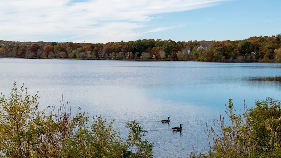 Picture of the Horn Pond in Woburn, Massachusetts in the early autumn