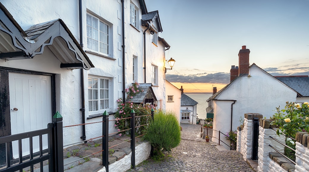 A narrow cobbled street lined with pretty cottages at Clovelly in north Devon; Shutterstock ID 308796311; Purchase Order: -
