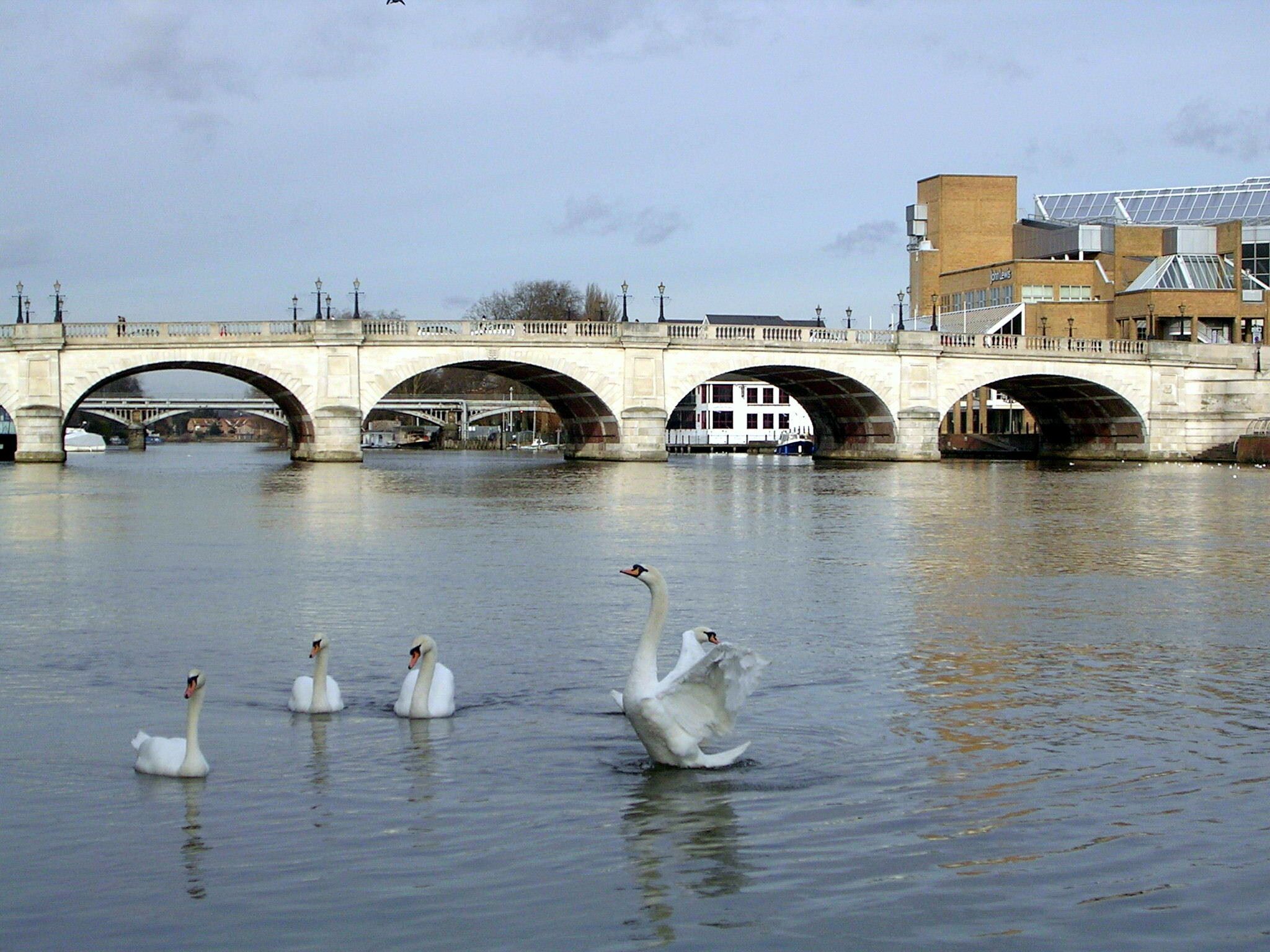 Kingston Bridge