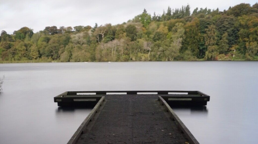 Great for relaxing or even keeping fit lots of runners there when I visited. Swan’s in their droves storage a pack of 25 at one end of the Lake. #BCStrove