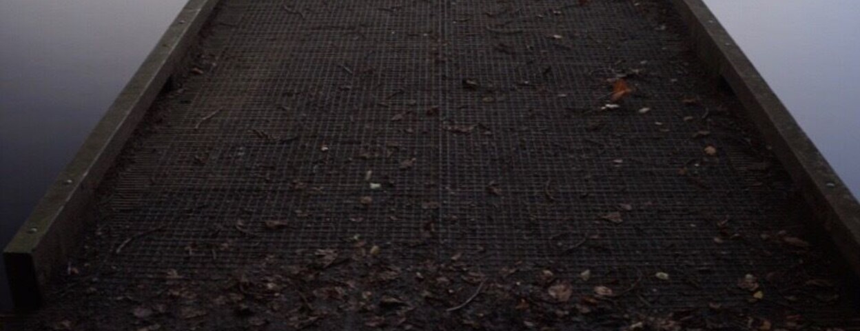 Great for relaxing or even keeping fit lots of runners there when I visited. Swan’s in their droves storage a pack of 25 at one end of the Lake. #BCStrove