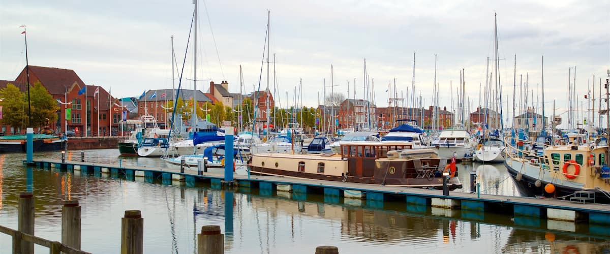 ํ ๋ง๋ฆฌ๋ ์ด ํฌํจ ํญ๊ตฌ ๋๋ ํญ๋ง