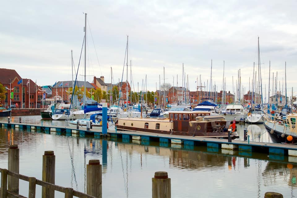 A marina with various boats docked, a wooden pier, and buildings in the background.