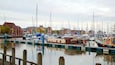 Hull Marina which includes a bay or harbour