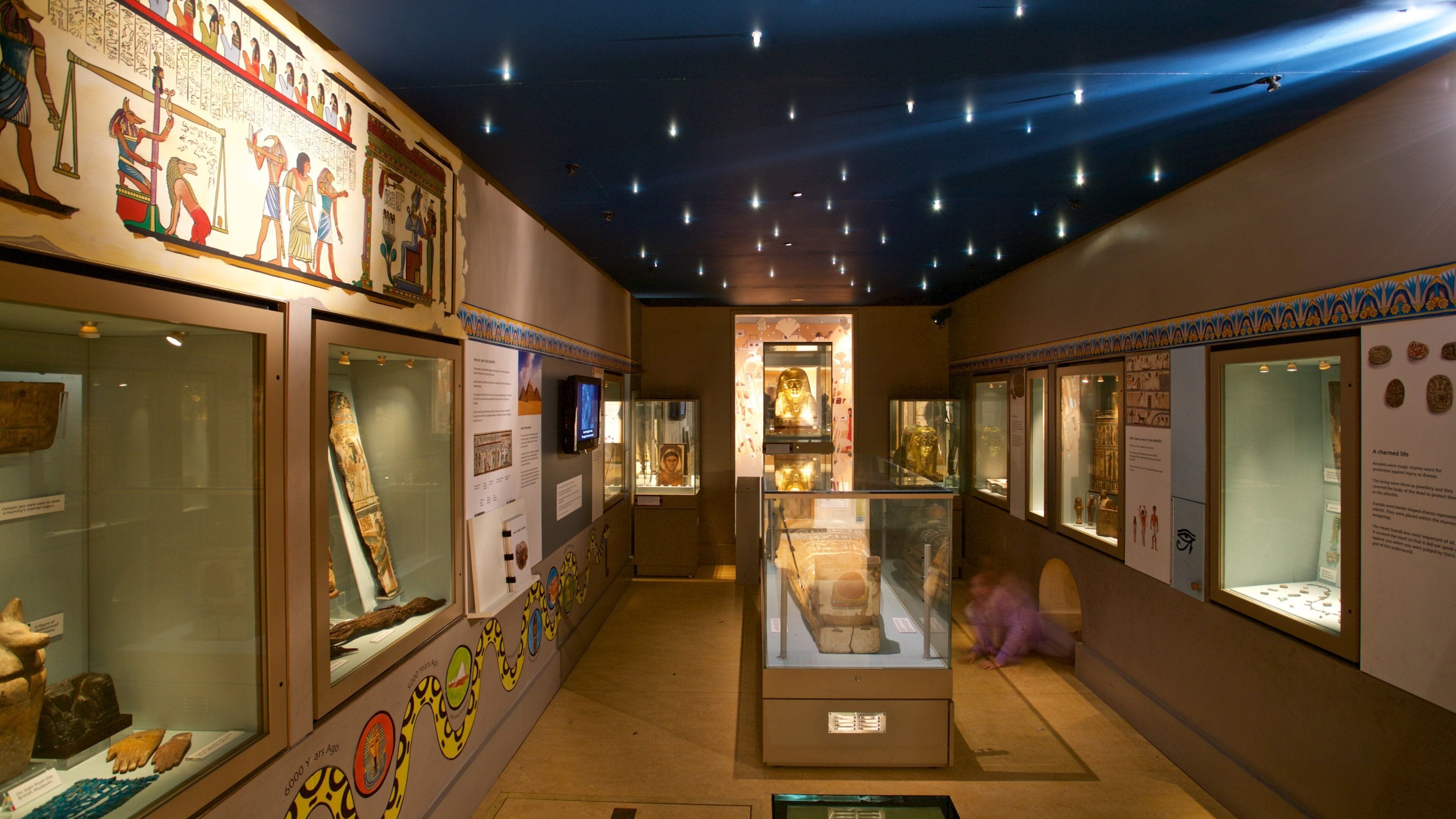 Ipswich Museum showing interior views