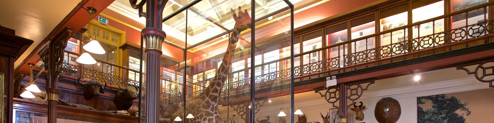 Musée d\'Ipswich montrant scÚnes intérieures