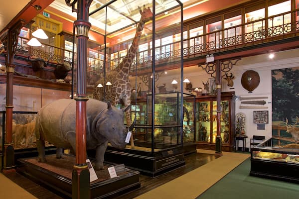 Ipswich Museum mit einem Innenansichten