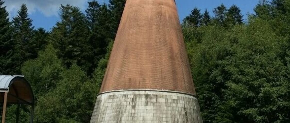 Lake with water sports, swimming and long walks. There is a bridge or ferry to take you over to a sculpture island, château and art museum. Great place to go with the dog.
