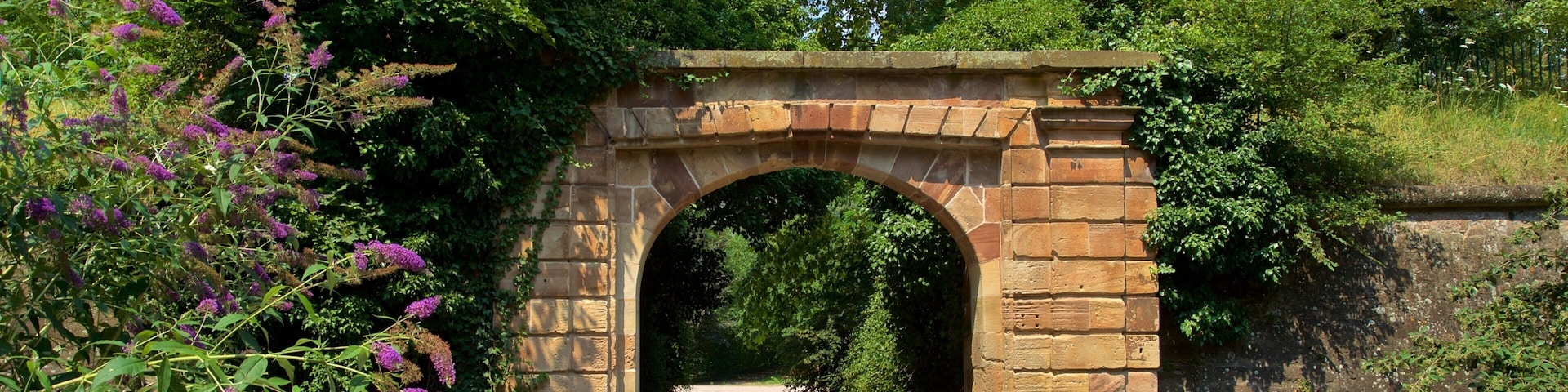 Citadelle Park showing a garden