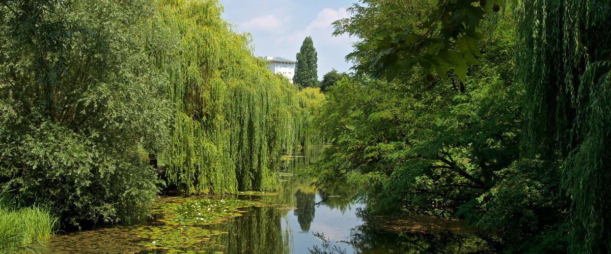 Citadelle Park featuring a river or creek