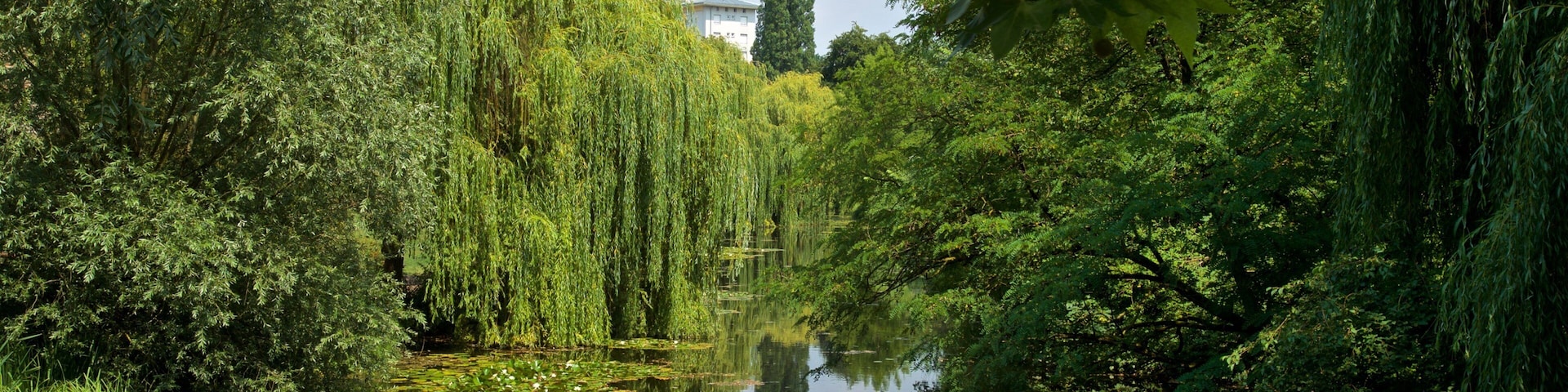 Citadelle Park featuring a river or creek
