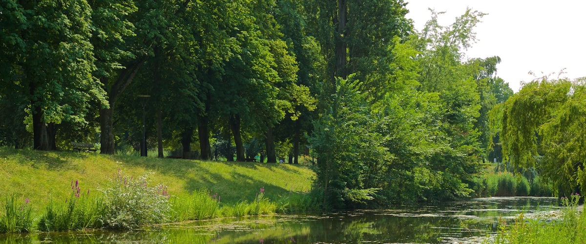 Citadelle Park showing a park and a river or creek