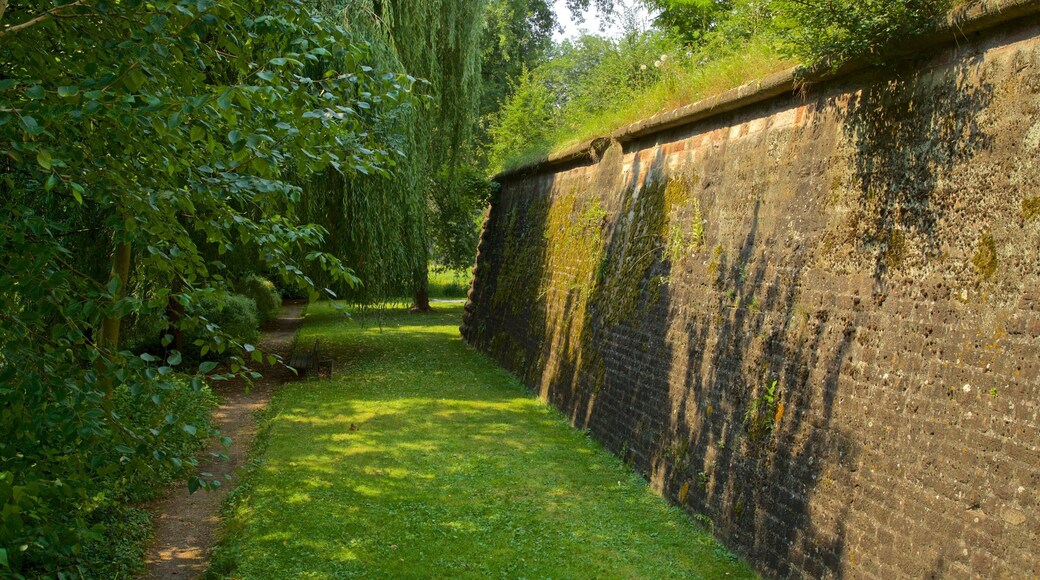 Citadelle Park showing a garden