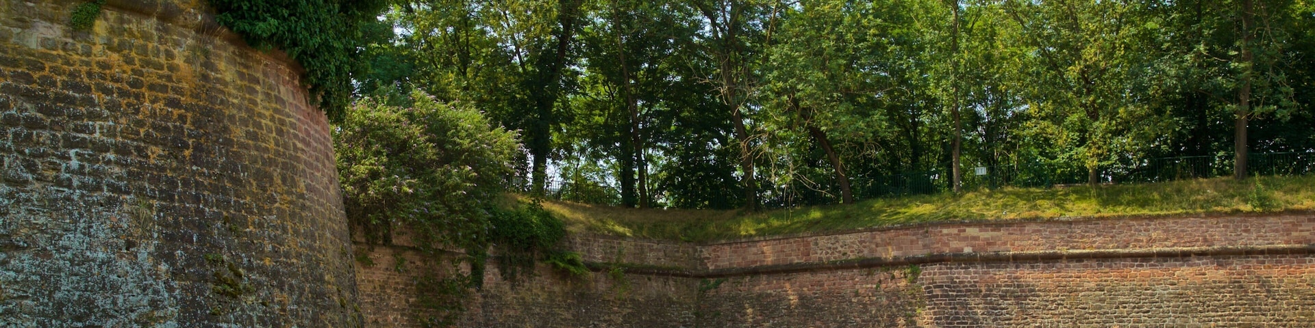 Citadelle Park which includes a garden
