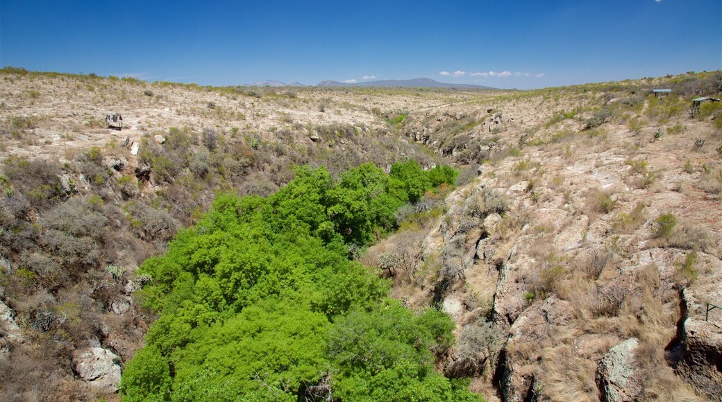 Saucillo Arches Ecopark which includes desert views and landscape views