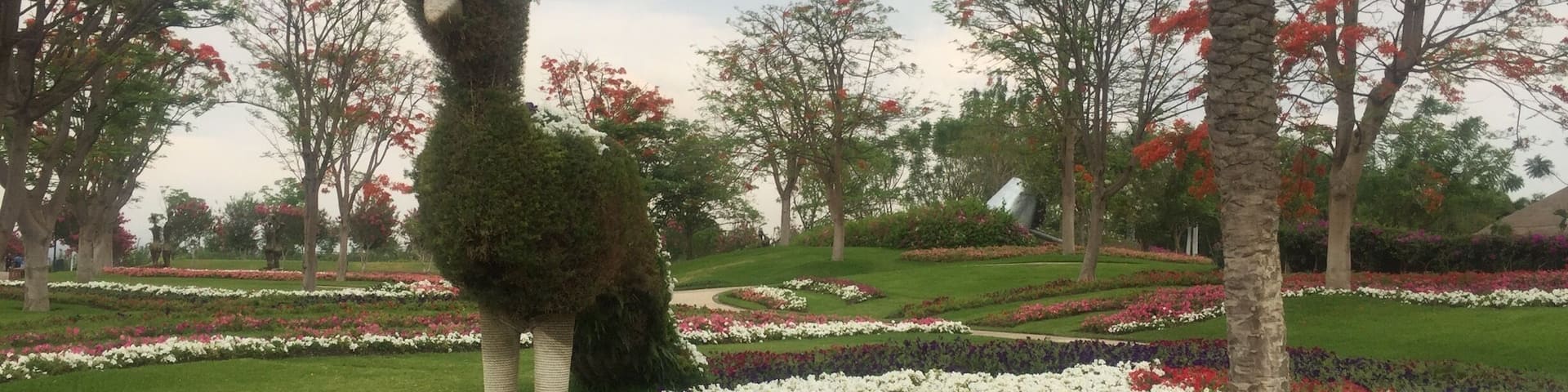 Jardines de Mexico