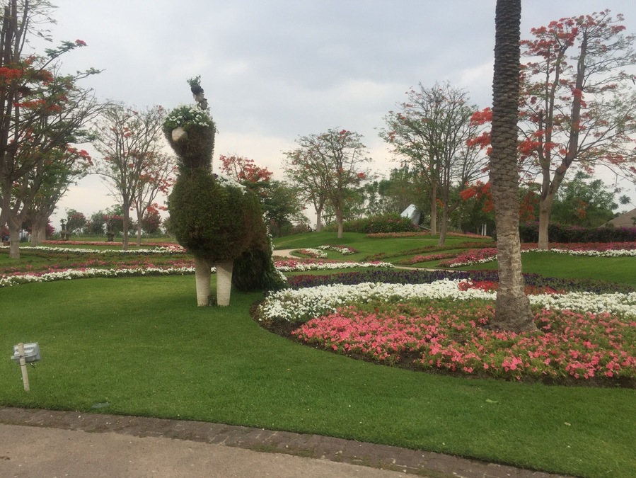 Jardines de Mexico