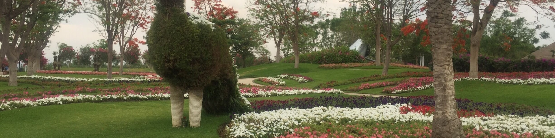 Jardines de Mexico