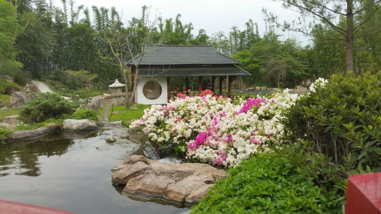Japanese Garden
#jardinesdemexico 