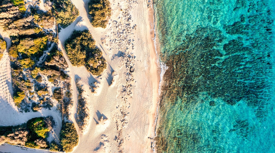 Salento, dune di campomarino di maruggio con il mare blu cristallino - Puglia, Taranto, Italy