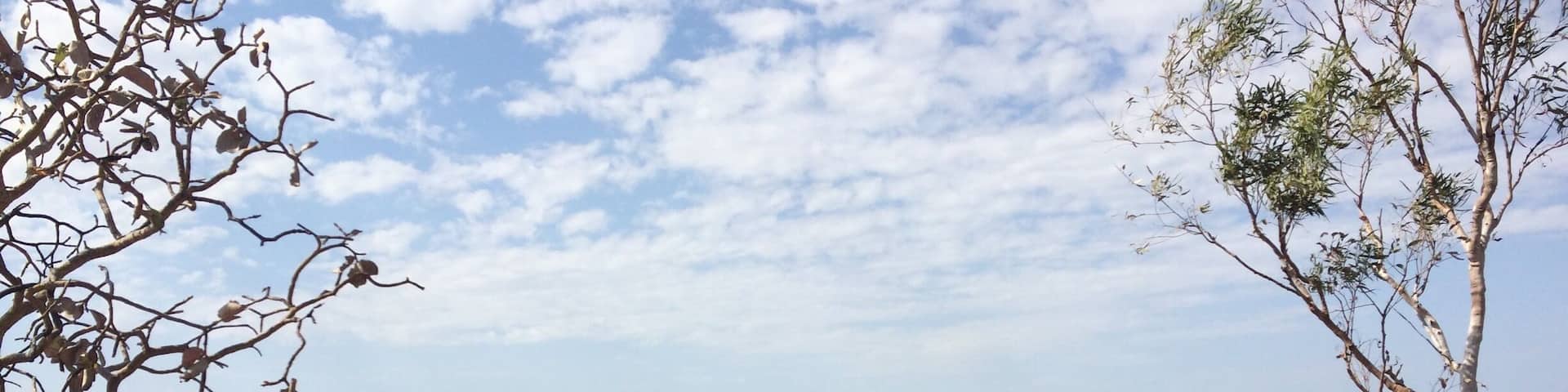 Top of the eastern Kimberley region. You can see the ocean into the land