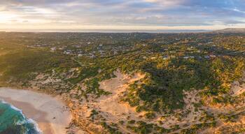 An aerial view of a coastal area with a beach, dense vegetation, and scattered buildings.