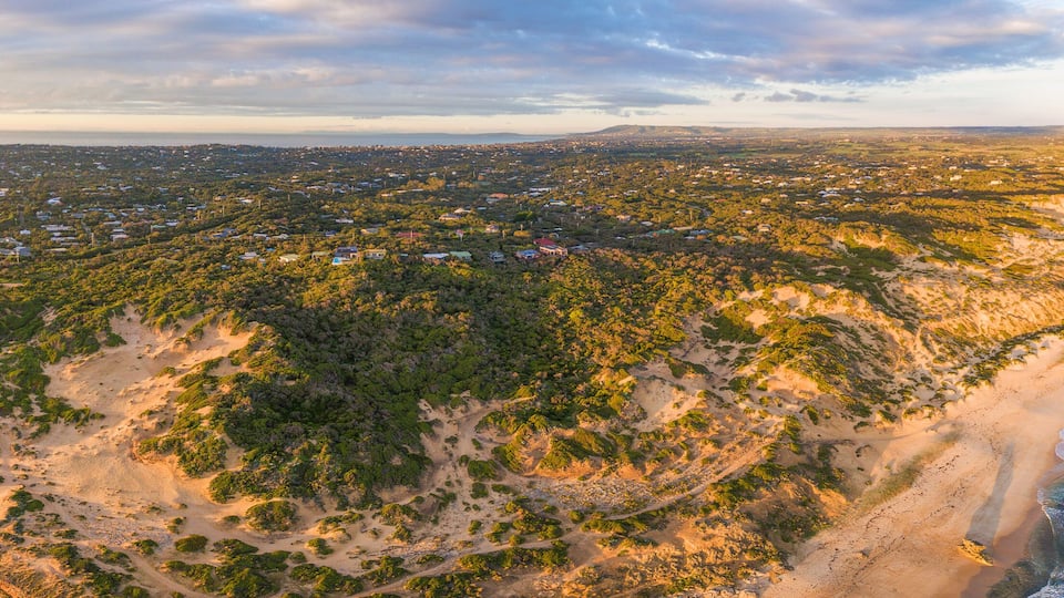 Vista aérea de una zona costera con playa, vegetación densa y edificios dispersos.