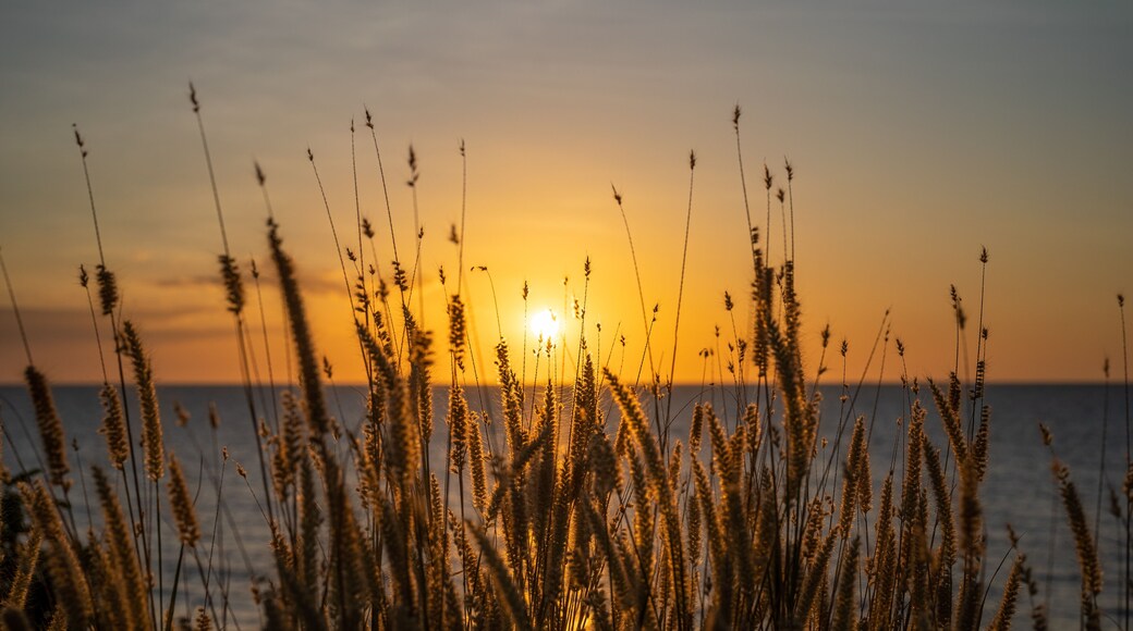 卡所連納沿海生態保護區