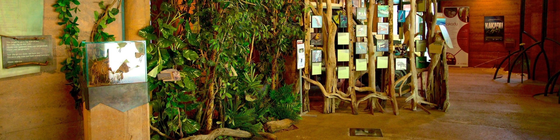 Kakadu National Park which includes interior views